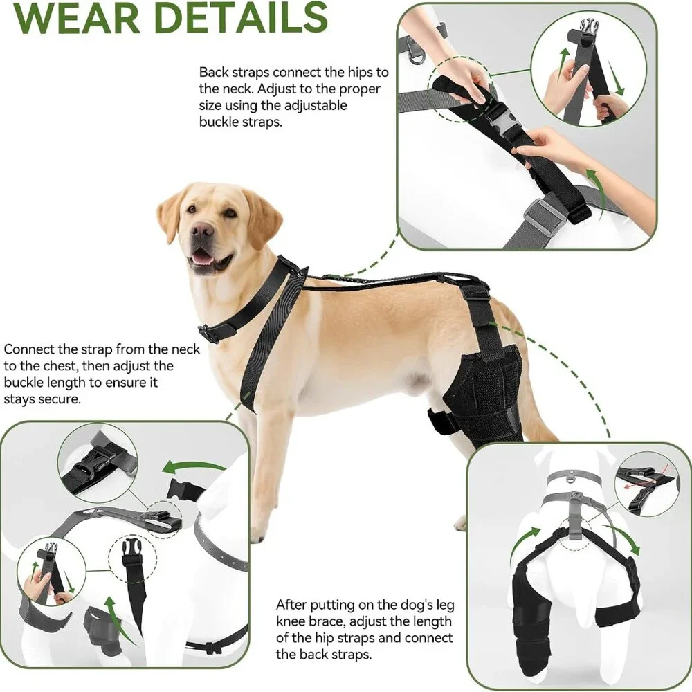 Dog Knee Brace for Back Leg
